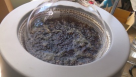 Vanilla refluxing. Boiling ethanol.