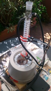 Refluxing a castoreum infusion